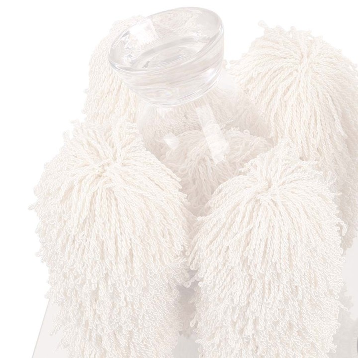 SECHEUSE ET POLISSEUSE A VERRE DSV1000 FRUCOSOL