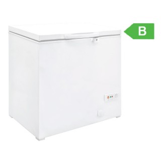 BAHUT SURGELATEUR 177 L FCG20 ETERNA