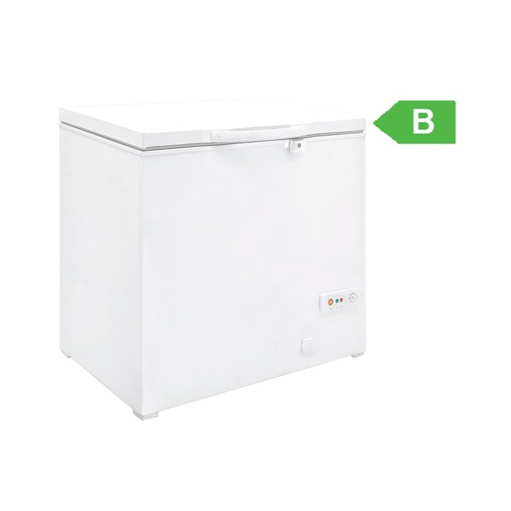 BAHUT SURGELATEUR 177 L FCG20 ETERNA