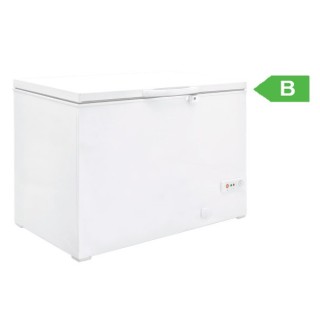 BAHUT SURGELATEUR 275 L FCG30 ETERNA