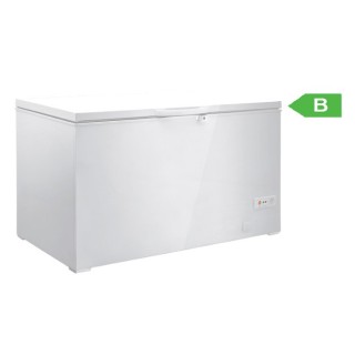 BAHUT SURGELATEUR 373 L FCG40 ETERNA