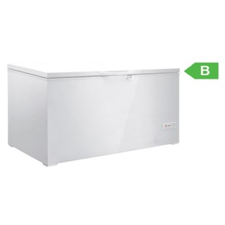 BAHUT SURGELATEUR 458 L FCG50 ETERNA