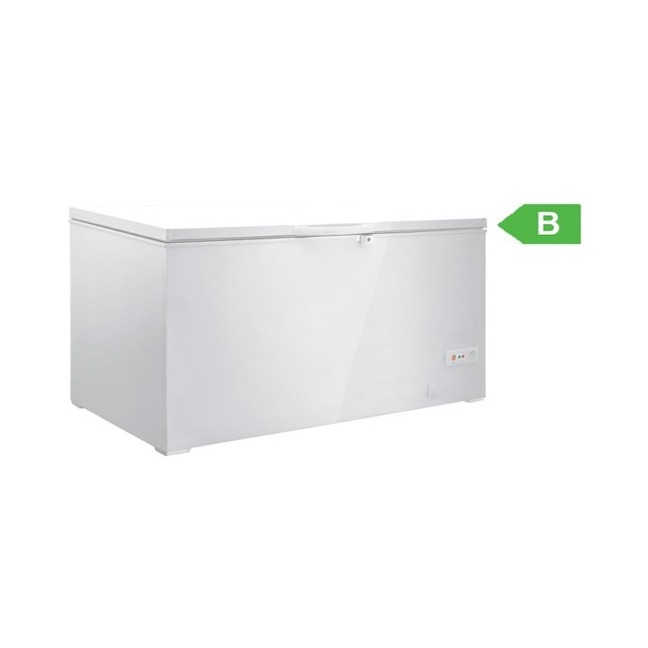 BAHUT SURGELATEUR 458 L FCG50 ETERNA