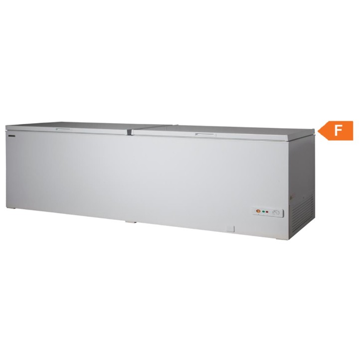 BAHUT SURGELATEUR 607 L