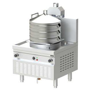 CUISEUR A VAPEUR ELECTRIQUE POUR 21 DIM SUMS