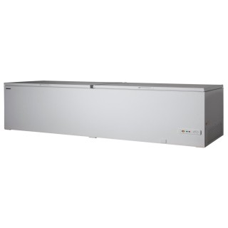 BAHUT SURGELATEUR 607 L