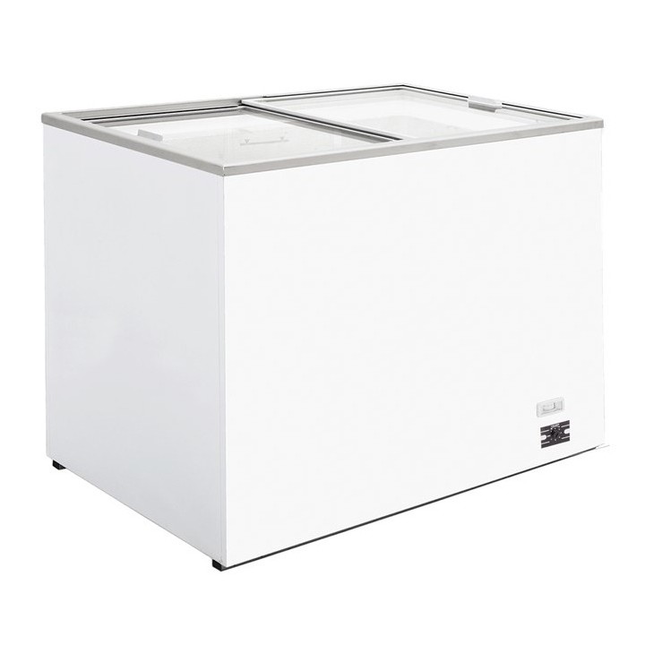CONSERVATEUR A GLACE 261 L